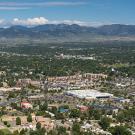 Arvada Pest Control and Exterminator