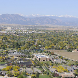 Broomfield Pest Control and Exterminator