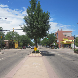 Longmont Pest Control and Exterminator