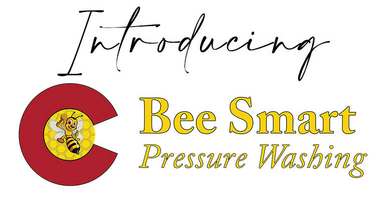 Introducing Bee Smart Pressure Washing